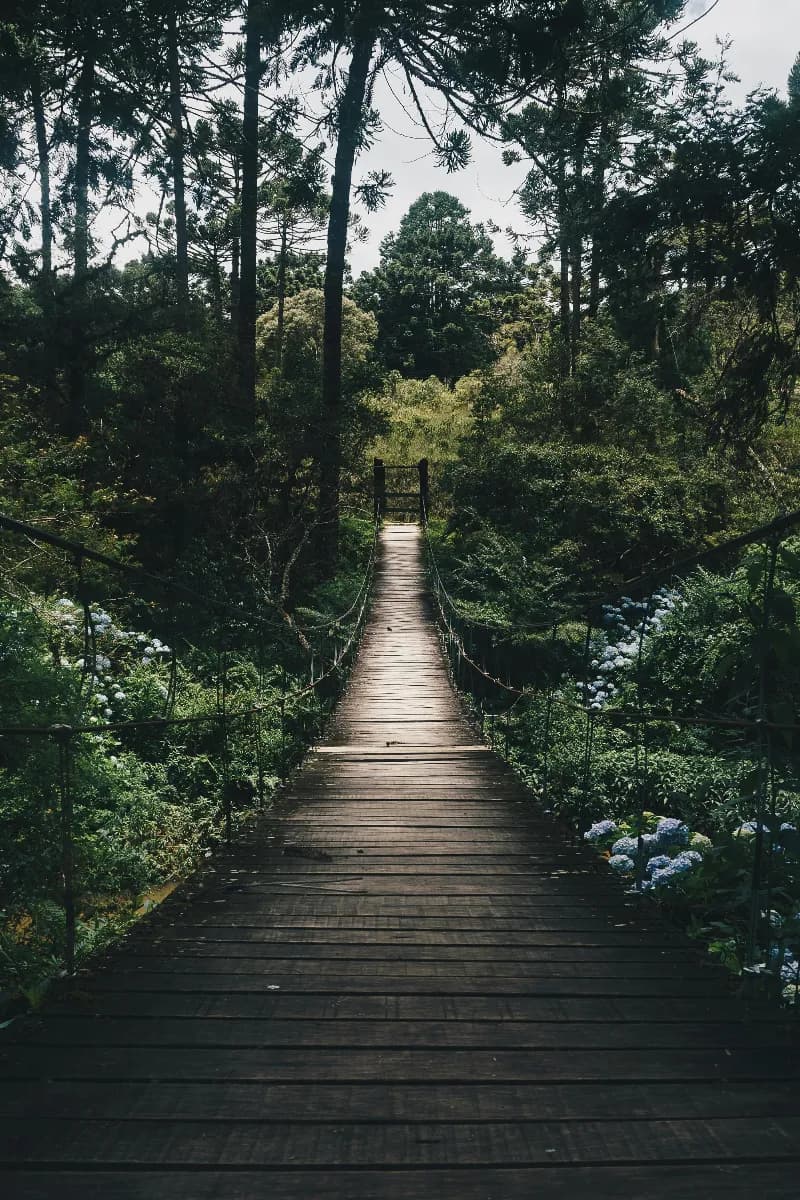 Pont